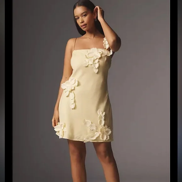Anthropologie | Dresses | Anthropologie Cream Floral Mini Dress | Poshmark